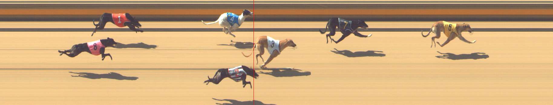 Race result finish photo